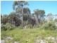 Lot 24 Moonbird Street, Lady Barron, Flinders Island TAS 7255