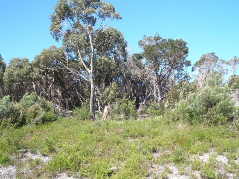 Lot 24 Moonbird Street, Lady Barron, Flinders Island TAS 7255