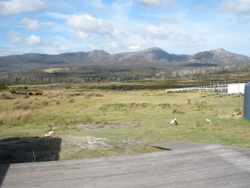 115 Harleys Road, Flinders Island TAS 7255