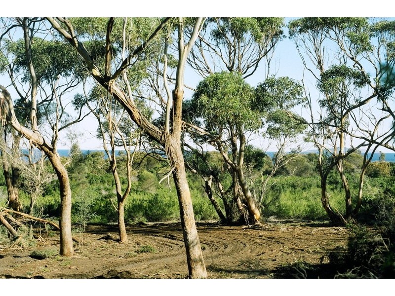 Lot 1  West End Road, Flinders Island TAS 7255