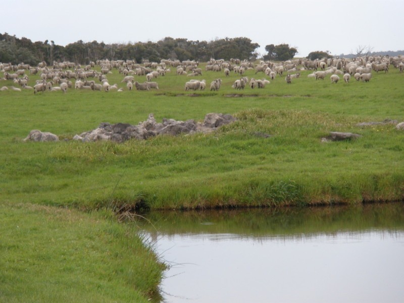 Lot 37 Summers Road, Lackrana, Flinders Island TAS 7255