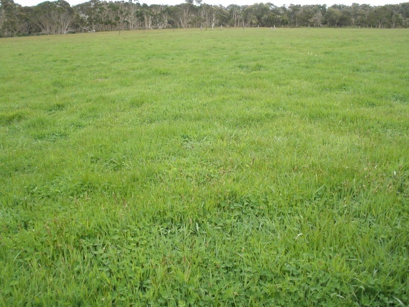 Lot 37 Summers Road, Lackrana, Flinders Island TAS 7255