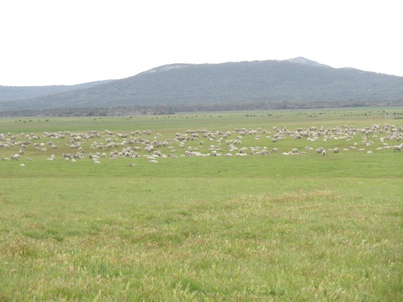 Lot 37 Summers Road, Lackrana, Flinders Island TAS 7255