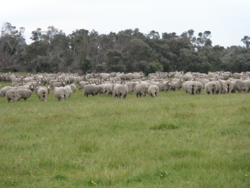 Lot 37 Summers Road, Lackrana, Flinders Island TAS 7255