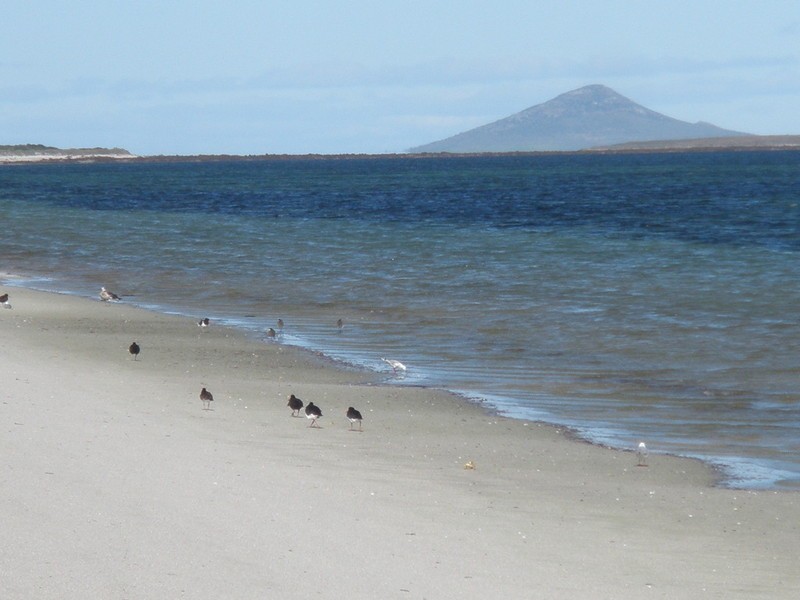Lot 1 Long Point Road, Flinders Island TAS 7255
