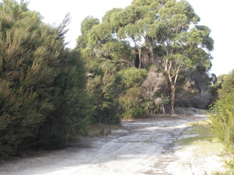 Lot 19 Moonbird Street, Lady Barron TAS 7255