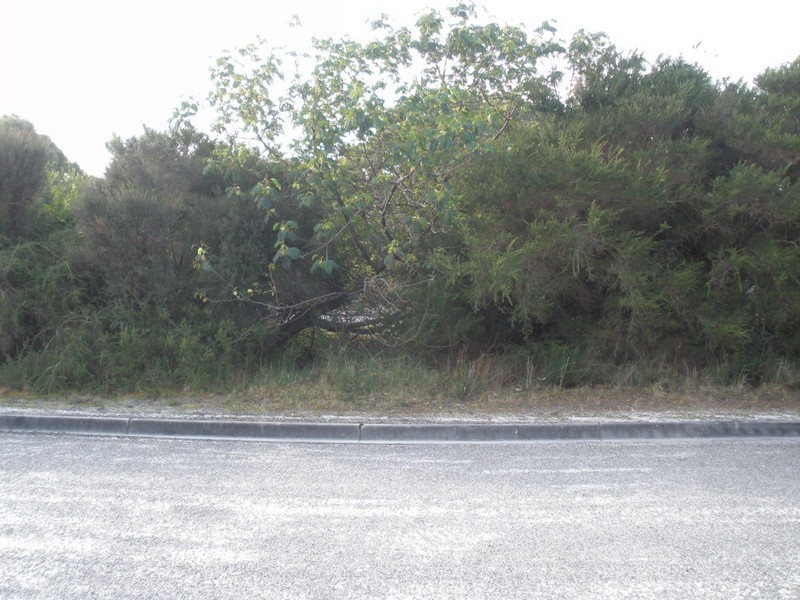 Lot 19 Moonbird Street, Lady Barron TAS 7255