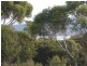 Lot 19 Moonbird Street, Lady Barron TAS 7255