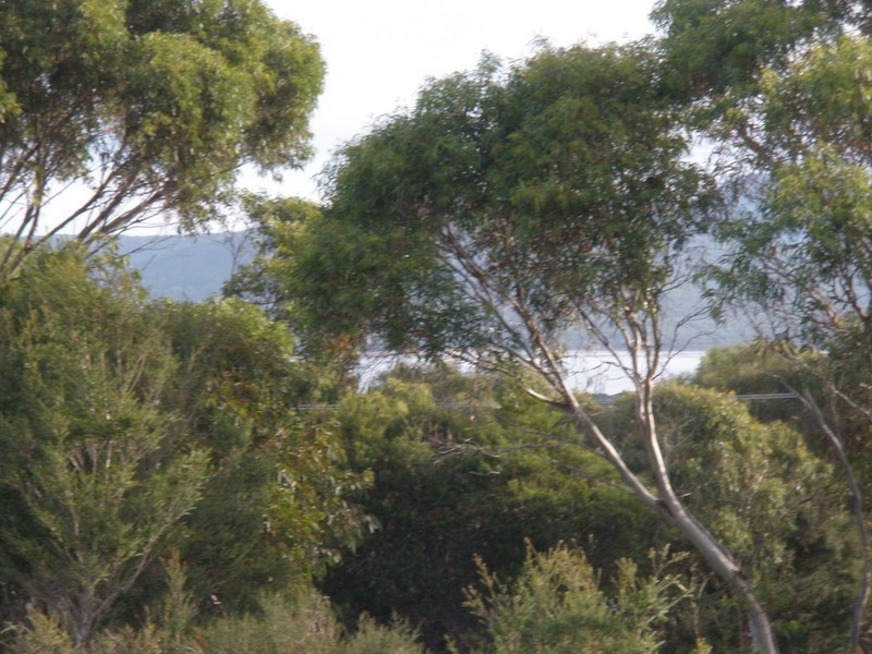Lot 19 Moonbird Street, Lady Barron TAS 7255