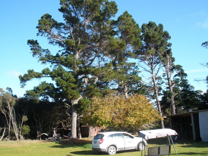 413 Fairhaven Road, Emita, Flinders Island TAS 7255