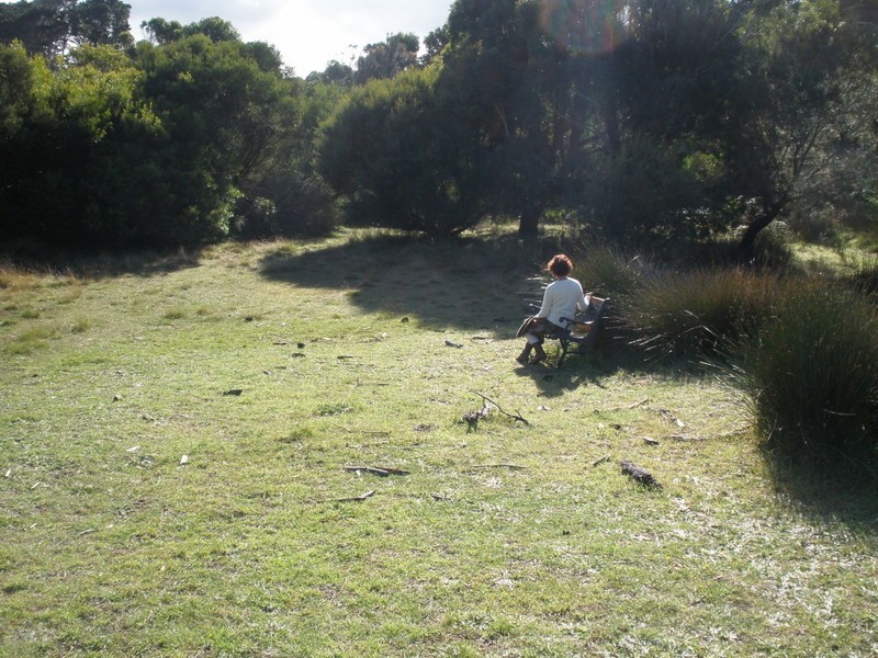 413 Fairhaven Road, Emita, Flinders Island TAS 7255