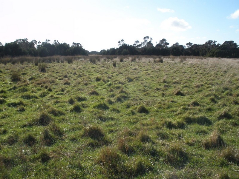 . Coast Road, Lady Barron, Flinders Island TAS 7255