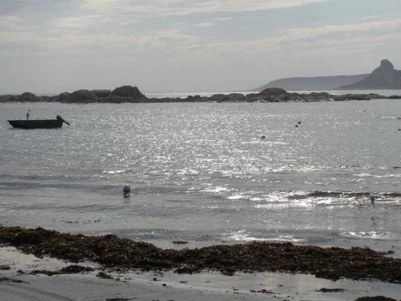 Lot 1 Armstrong Avenue, Killiecrankie TAS 7255