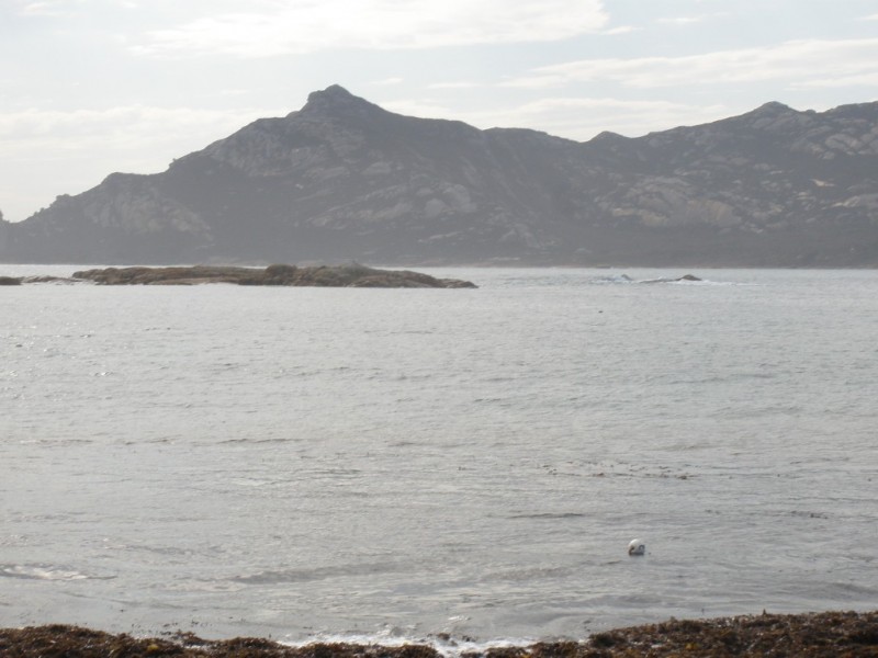 Lot 1 Armstrong Avenue, Killiecrankie TAS 7255