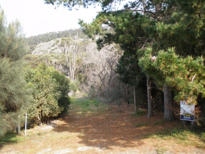 Lot 1 Armstrong Avenue, Killiecrankie TAS 7255