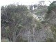 Lot 1 Armstrong Avenue, Killiecrankie TAS 7255
