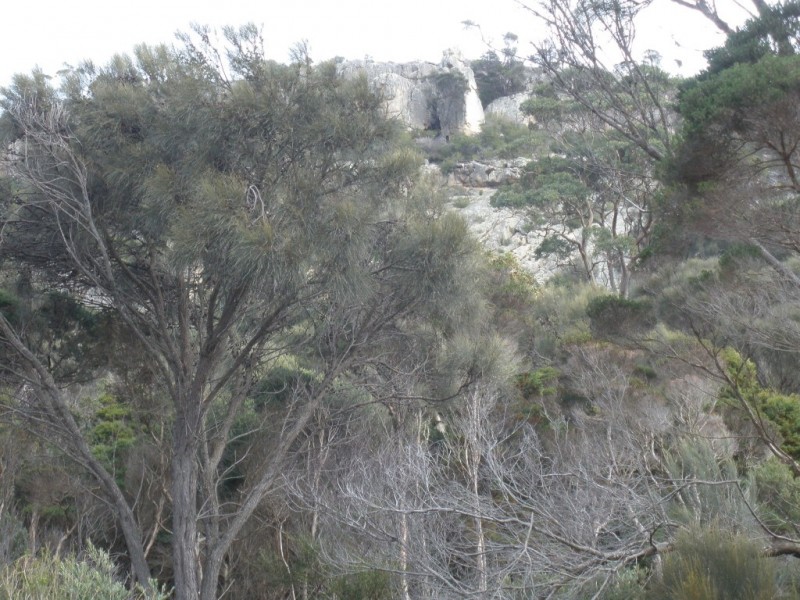 Lot 1 Armstrong Avenue, Killiecrankie TAS 7255