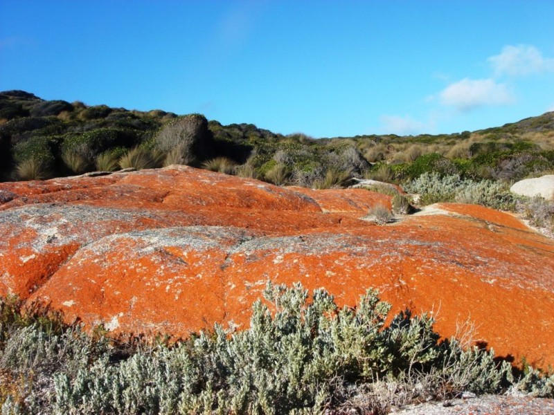 Limestone Bay, Palana Road, Flinders Island TAS 7255