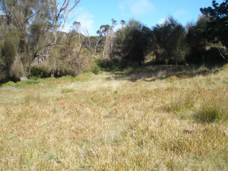 Lot 1/34 Fowlers Road, Emita TAS 7255