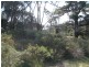 Lot 1/34 Fowlers Road, Emita TAS 7255