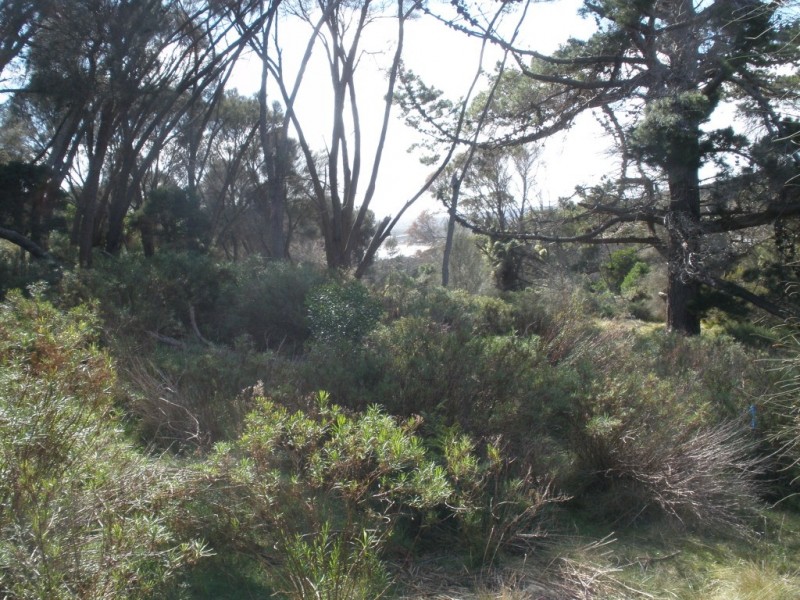 Lot 1/34 Fowlers Road, Emita TAS 7255