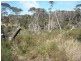 Lot 1/34 Fowlers Road, Emita TAS 7255