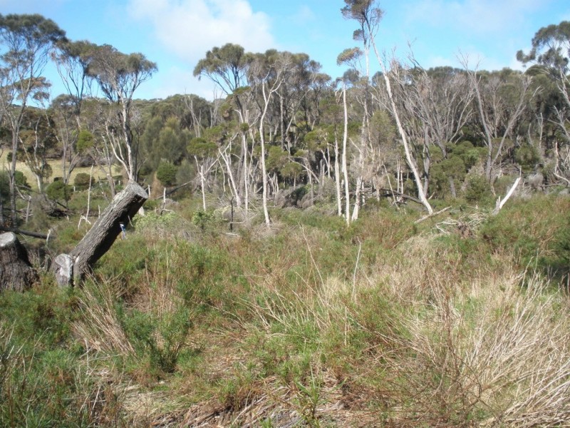 Lot 1/34 Fowlers Road, Emita TAS 7255