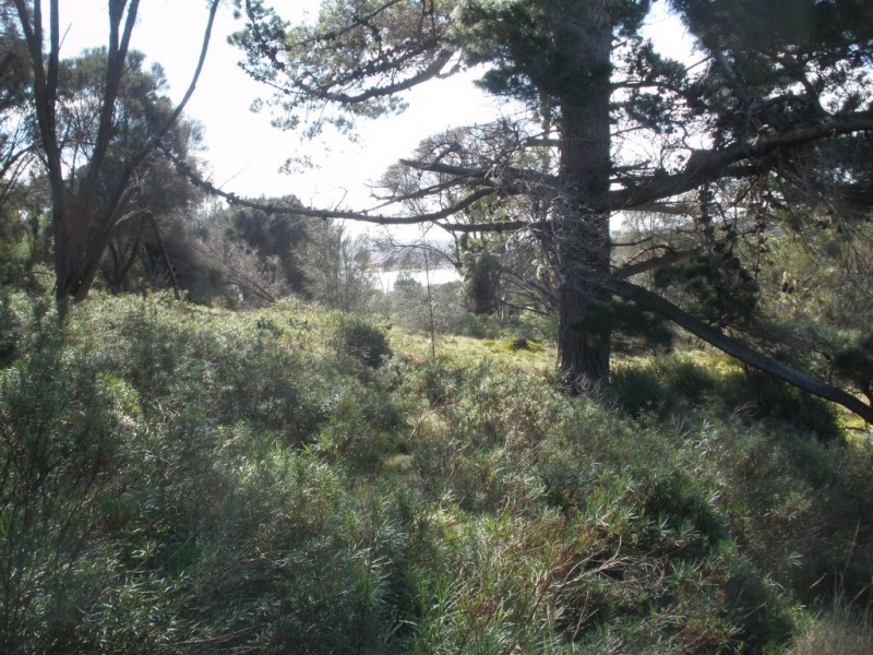 Lot 1/34 Fowlers Road, Emita TAS 7255