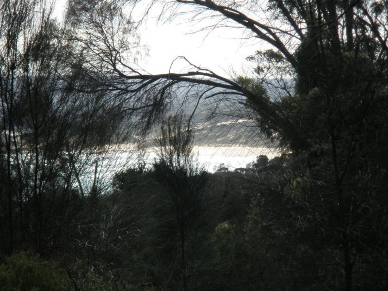 Lot 1/34 Fowlers Road, Emita TAS 7255