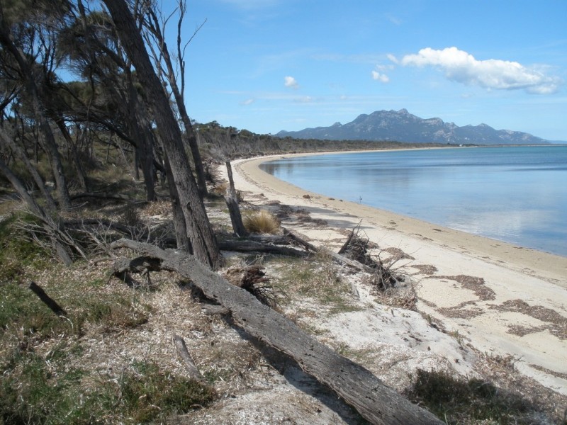 59 Bluff Road, Whitemark, Flinders Island TAS 7255