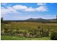 373 Killiecrankie Road, Flinders Island TAS 7255