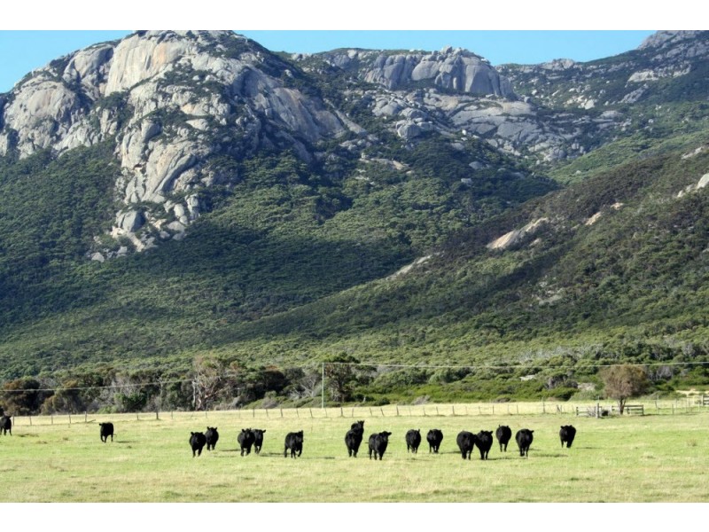 . Trousers Point Road, Flinders Island TAS 7255