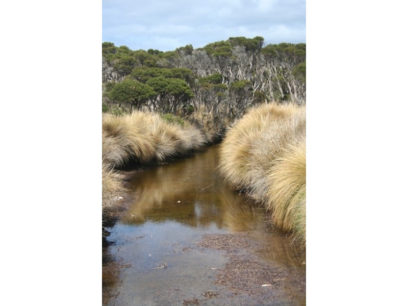 . Trousers Point Road, Flinders Island TAS 7255