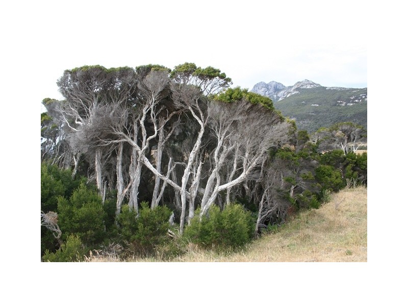 . Trousers Point Road, Flinders Island TAS 7255