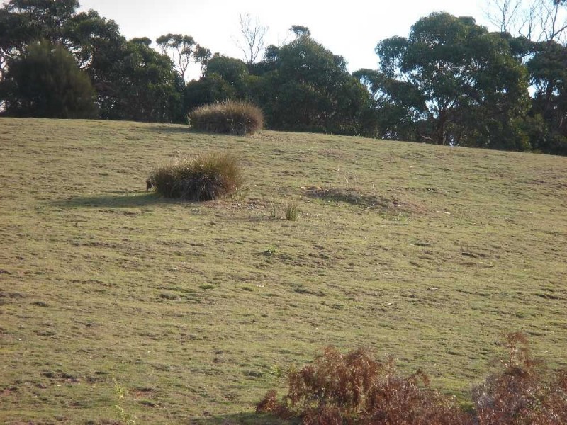 Palana Road, Palana, Flinders Island TAS 7255