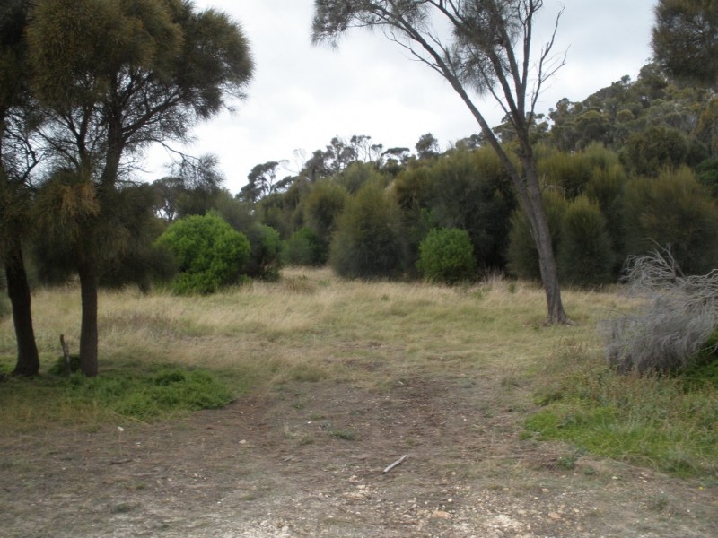 208880/2 Port Davies Road, Emita, Flinders Island TAS 7255