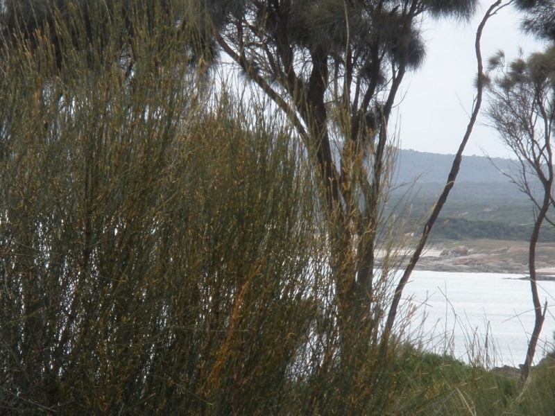 208880/2 Port Davies Road, Emita, Flinders Island TAS 7255