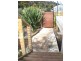 183 Port Davies Road, Emita, Flinders Island TAS 7255
