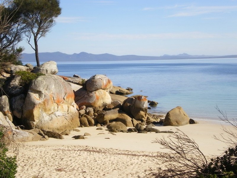 183 Port Davies Road, Emita, Flinders Island TAS 7255