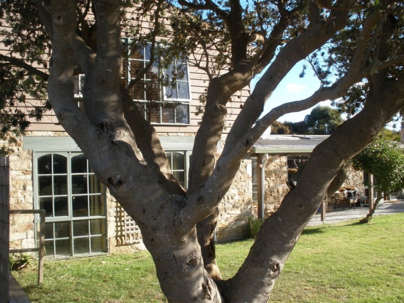 17 Bluff Road, Whitemark, Flinders Island TAS 7255