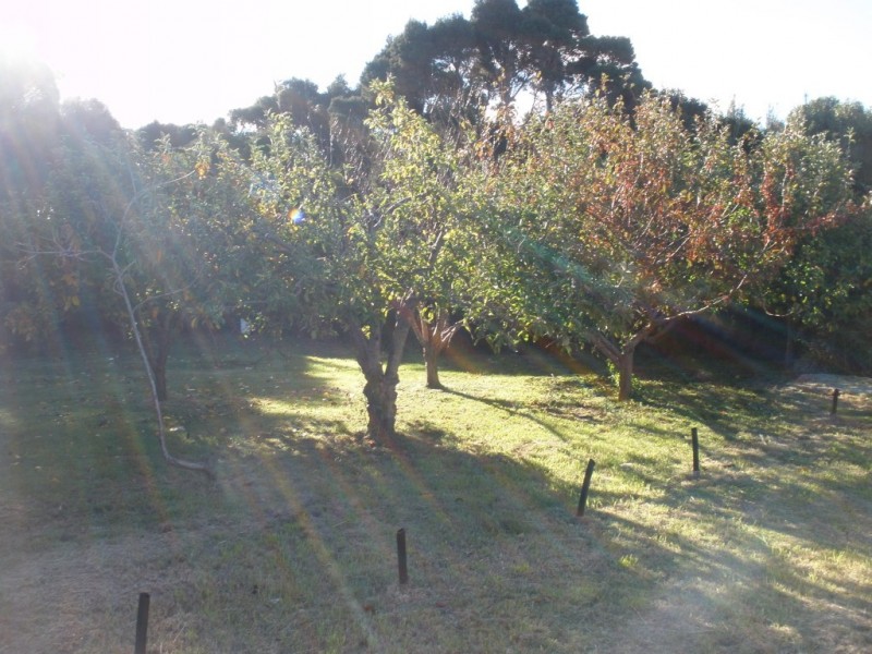 17 Bluff Road, Whitemark, Flinders Island TAS 7255