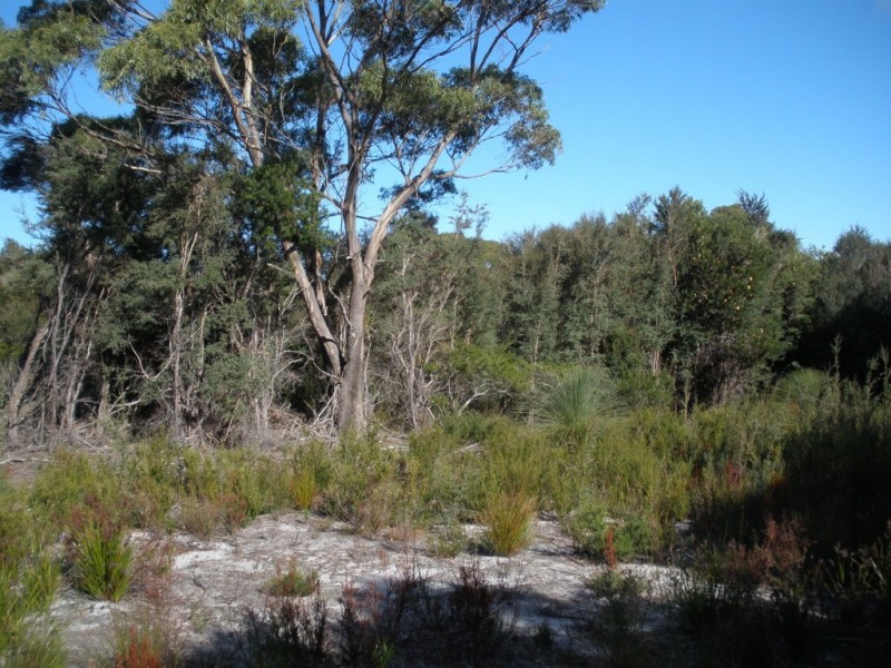 Lot 20 Moonbird Street, Lady Barron, Flinders Island TAS 7255