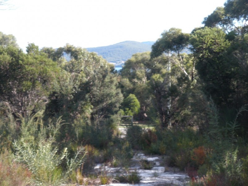 Lot 20 Moonbird Street, Lady Barron, Flinders Island TAS 7255