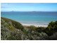 Lot 5 West End Road, West End, Flinders Island TAS 7255
