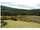 Lot 5 West End Road, West End, Flinders Island TAS 7255