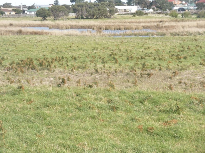 Lot 1 Lagoon Road, Whitemark, Flinders Island TAS 7255