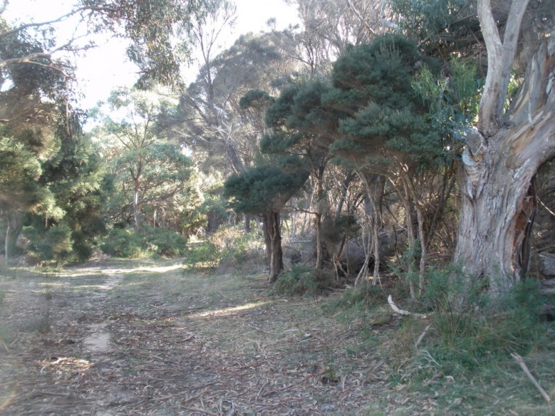 Lot 1 Palana Road, Lughrata TAS 7255