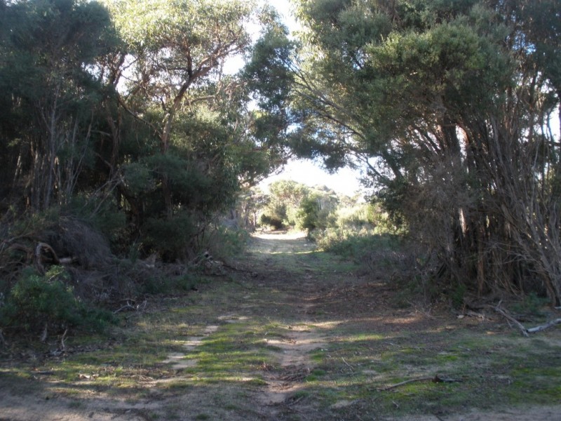 Lot 1 Palana Road, Lughrata TAS 7255