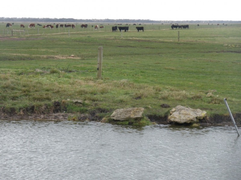 1399 Fairhaven Road, Memana, Flinders Island TAS 7255