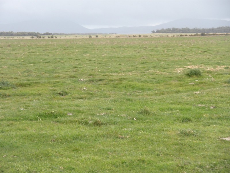 1399 Fairhaven Road, Memana, Flinders Island TAS 7255